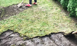 Снятие дерна старого газона в Ярцево – от 513 руб. | 2Землекопа-Рцв